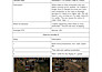 do professional game testing and bug hunt with QA report